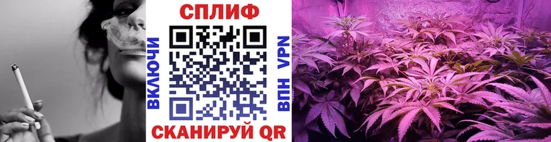 Конопля Amnesia  Алагир 